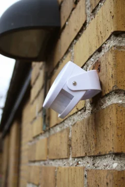 Cat DoorBell