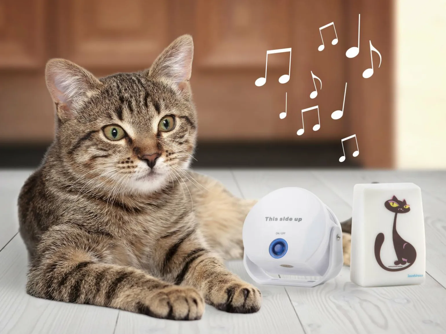 Cat DoorBell