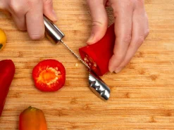 Chili Frøfjerner