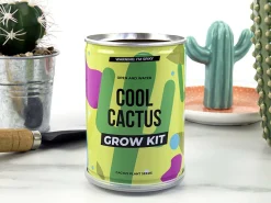 Cool Cactus Konservesplante