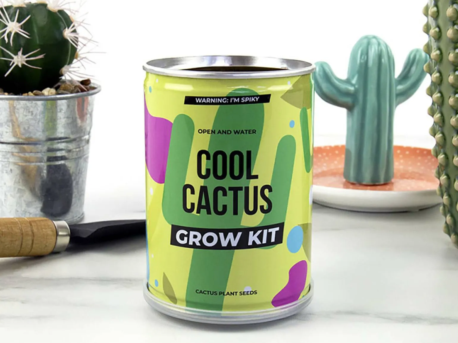 Cool Cactus Konservesplante