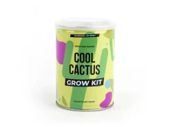 Cool Cactus Konservesplante