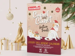 Cupid & Comet Luxury Hundekalender