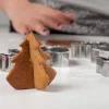 3D Brunkageforme