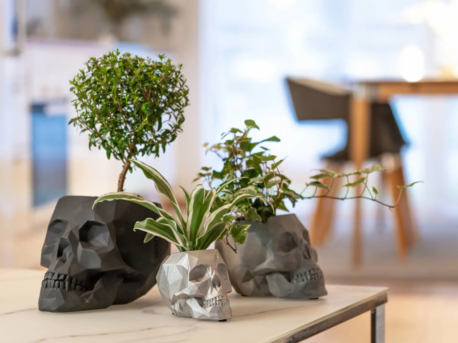 Dødningehoved Blomsterkrukke