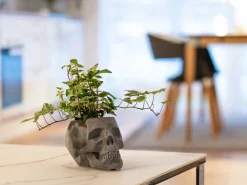 Dødningehoved Blomsterkrukke