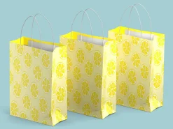 Gaveposer 3-pak - Citronskiver - Store