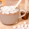 Gnaw Varm Chokolade på Pind 3 stk