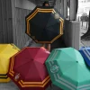 Harry Potter paraply - Gryffindor