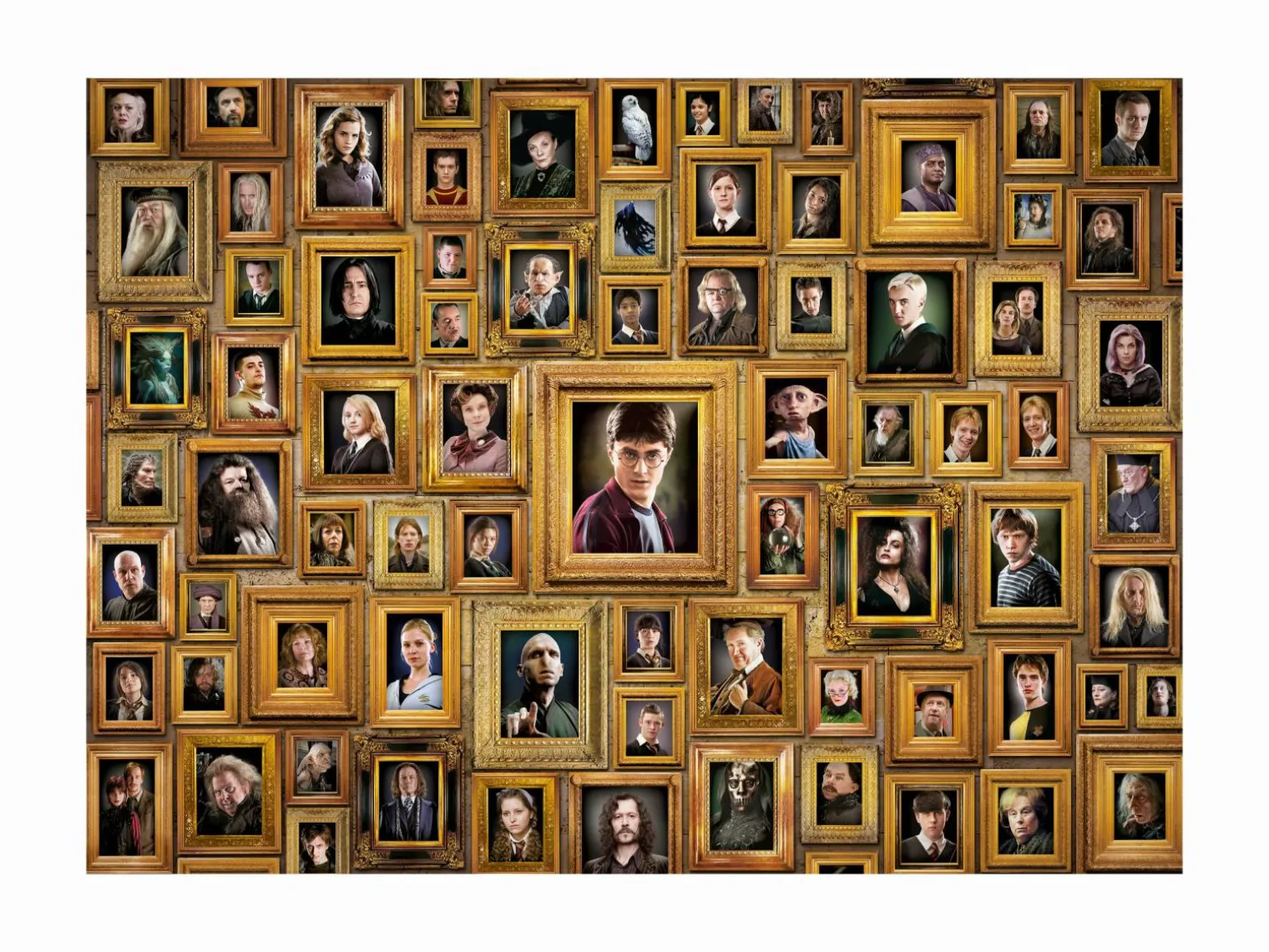 Harry Potter Umulig Puslespil