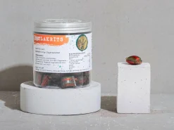 Haupt Lakrits Jägerlakrids