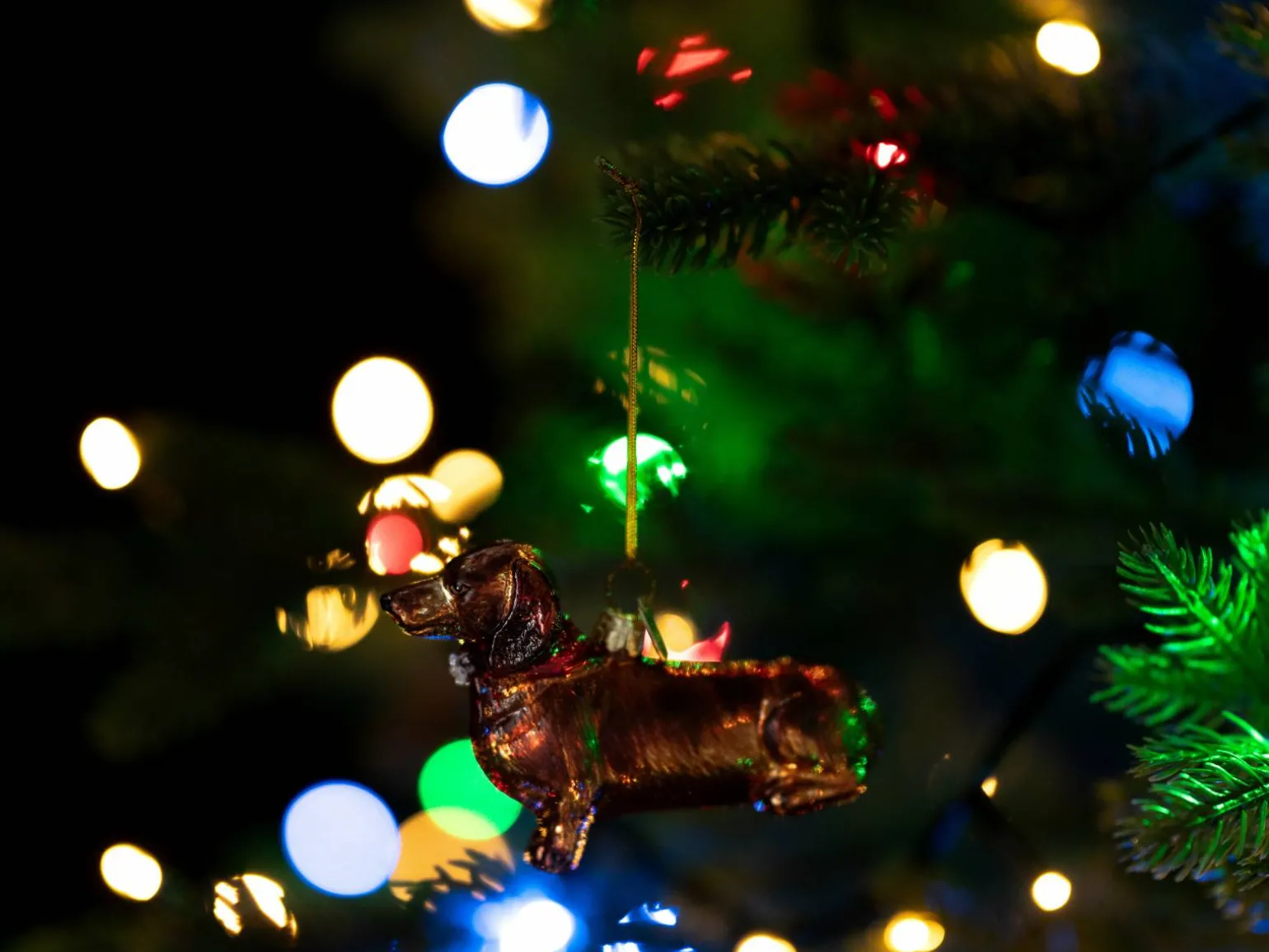 Juletræspynt Gravhund