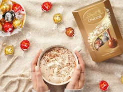 Lindt Lindor Cornet 500 gram - Blandet chokolade