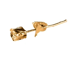 Mini Guldrose - 24K Guldbelagt Rose