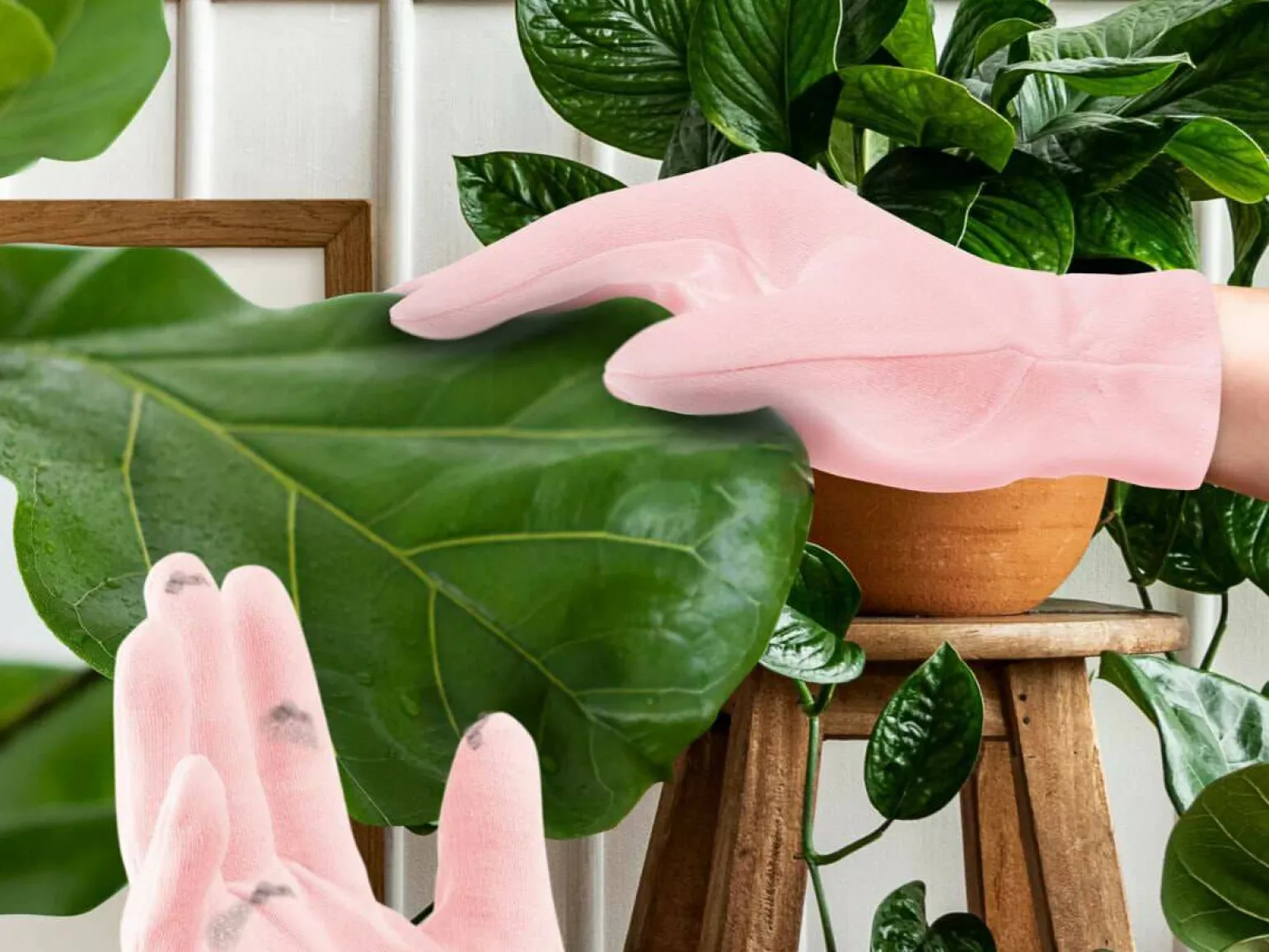 Mini Houseplant Rengøringshandsker til Potteplanter