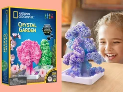 National Geographic Crystal Garden