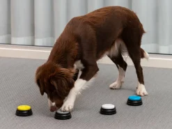 Optageknapper til Hund - Spralla