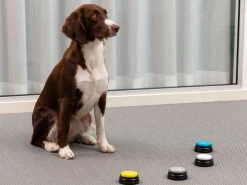 Optageknapper til Hund - Spralla