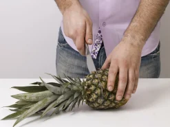 Pineapple Peeler - KitchPro