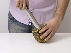 Pineapple Peeler - KitchPro