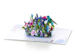 Pop Up-kort - Kolibri