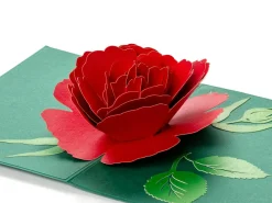 Pop Up-kort - Rød Rose