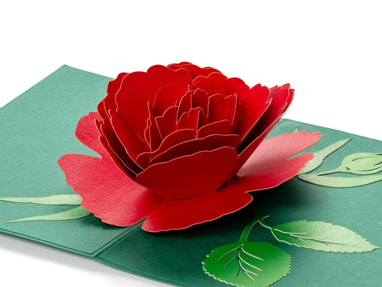 Pop Up-kort - Rød Rose
