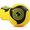 Spikeball Pro Balls (2-pak)