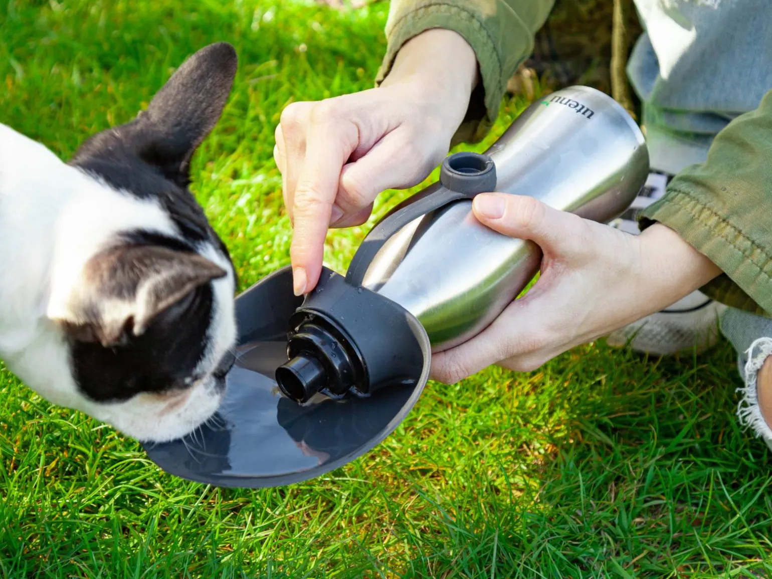 Vandflaske til Hund - Utenu